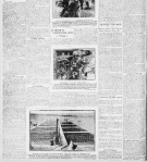 NY Daily Tribune - Oct 1908